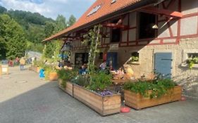 Gasthaus Holdermühle