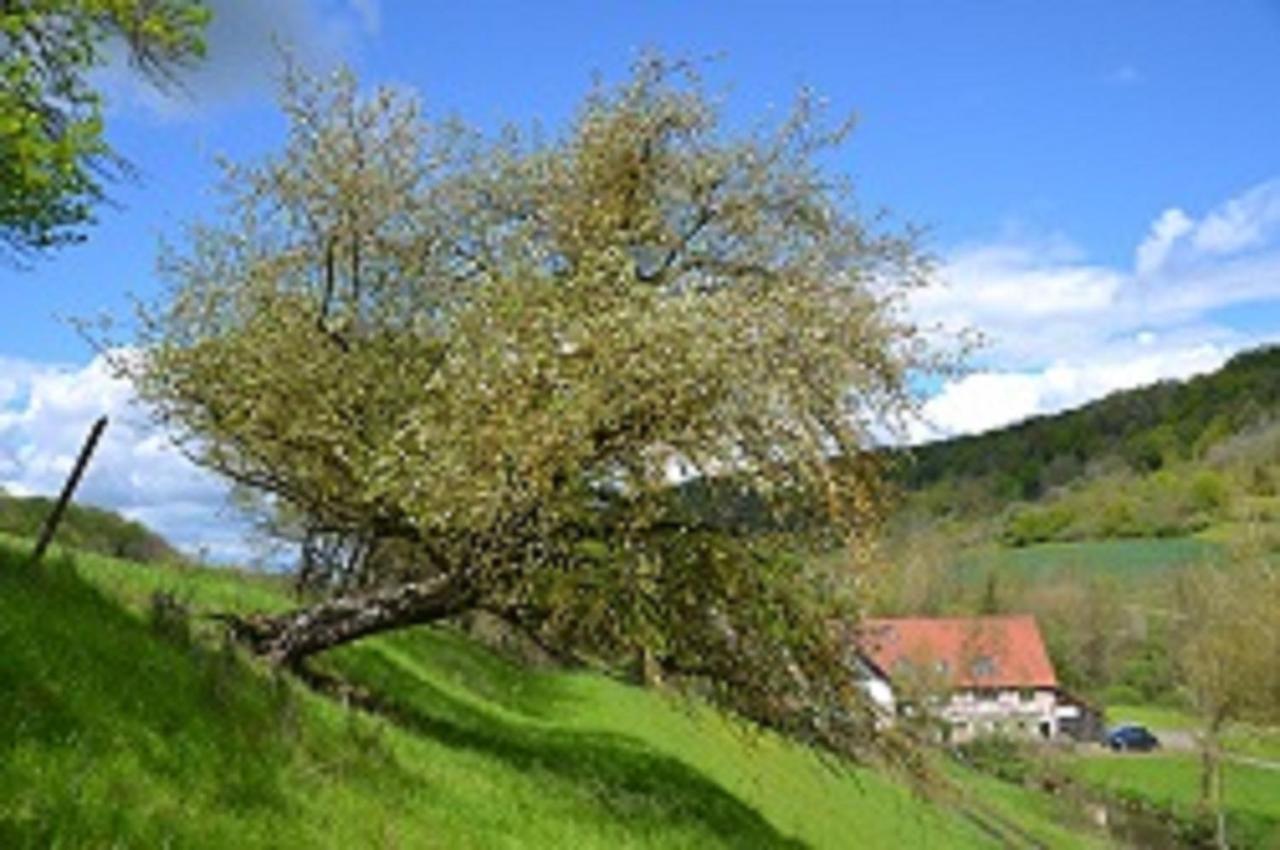 Hotel Gasthaus Holdermühle Creglingen Exterior foto